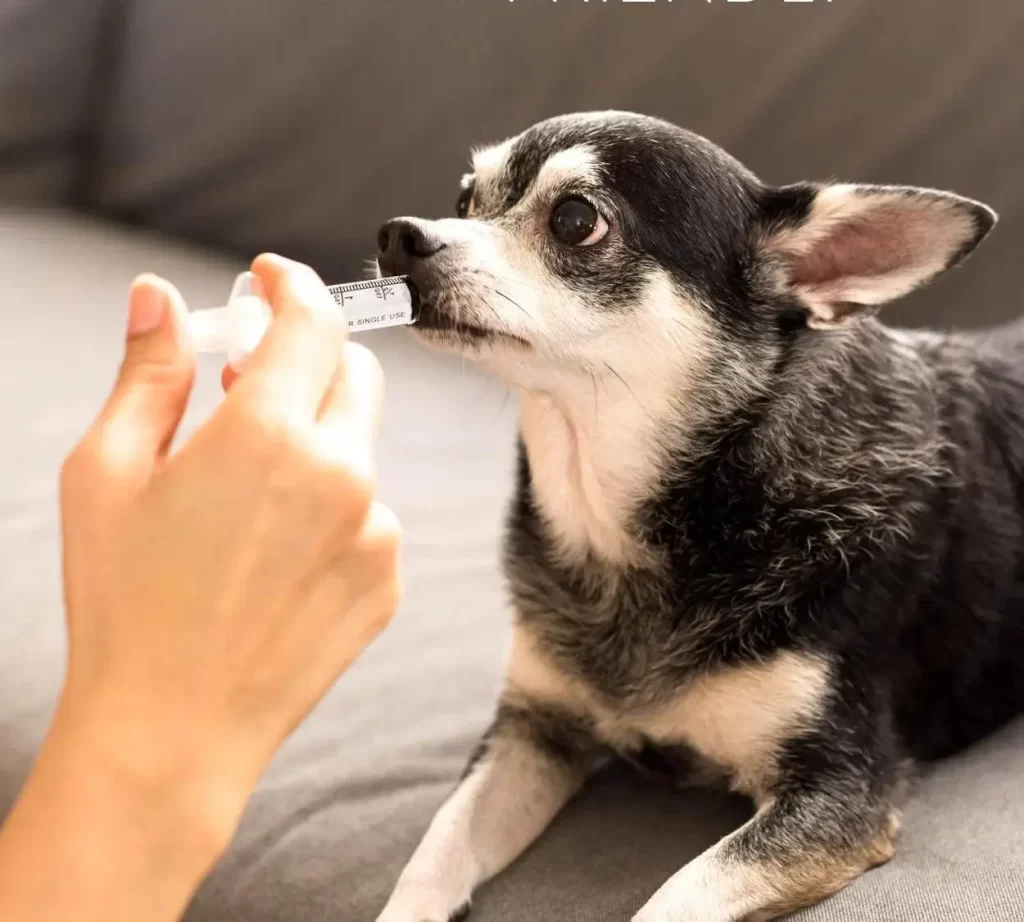 anti-diarrhea supplements for-dogs syringe
